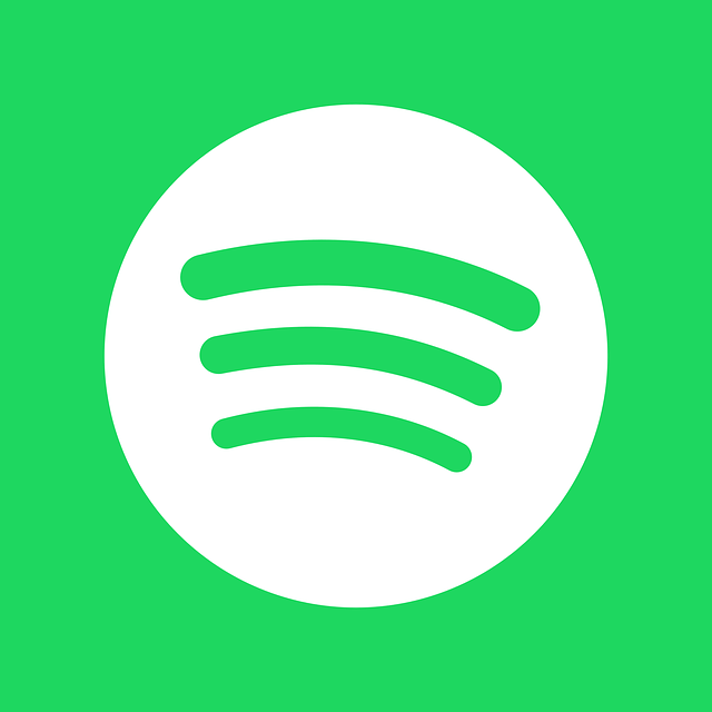 Spotify Stats